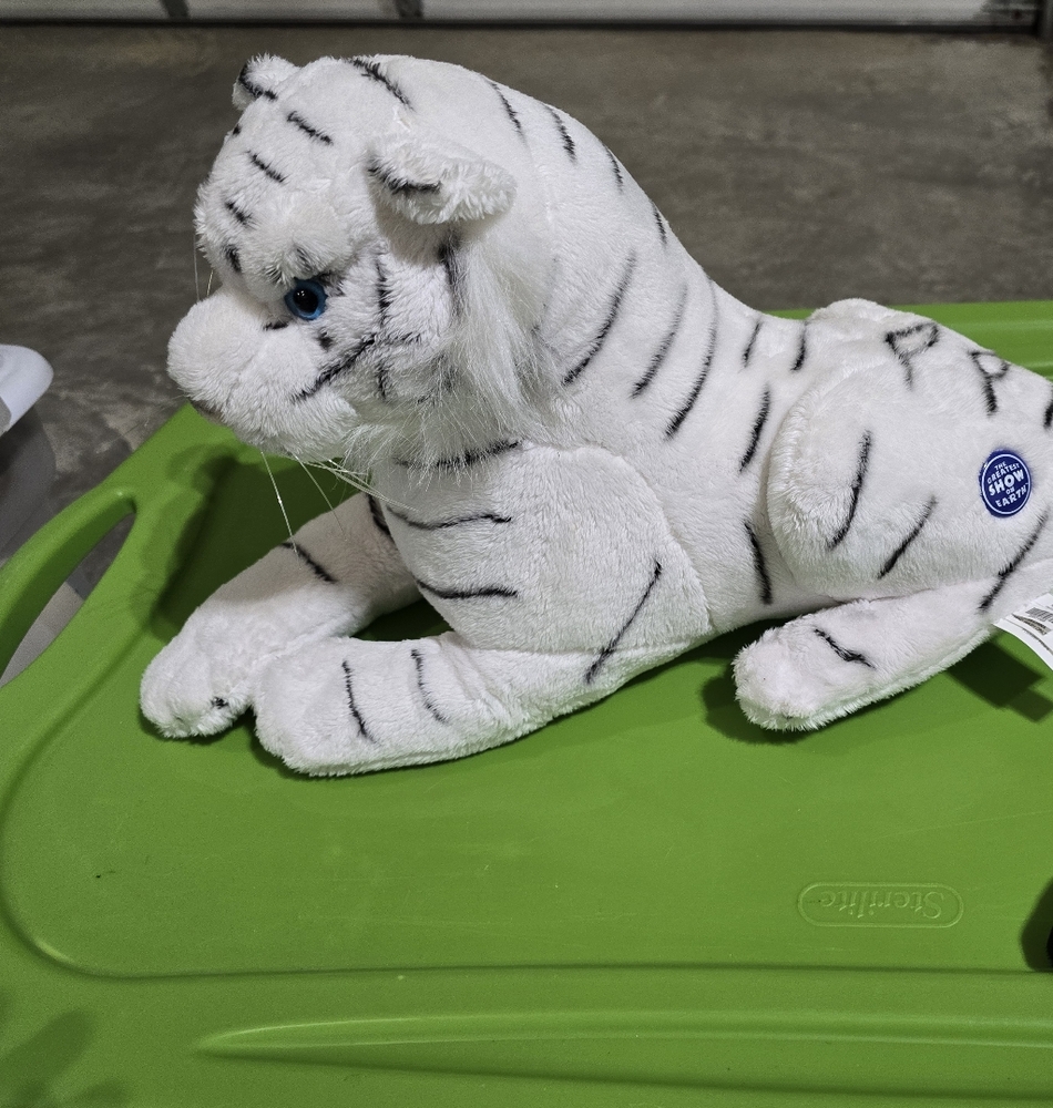 Siberian Tiger,  Barnum & Bailey Circus. Tag Is On Left Side Of Animal